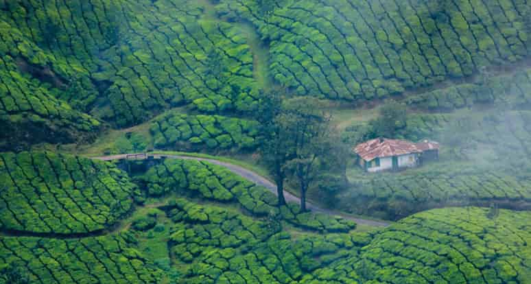 Kerala Tour Package Munnar